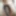A boy's erect penis is standing
