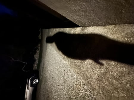 Outside 