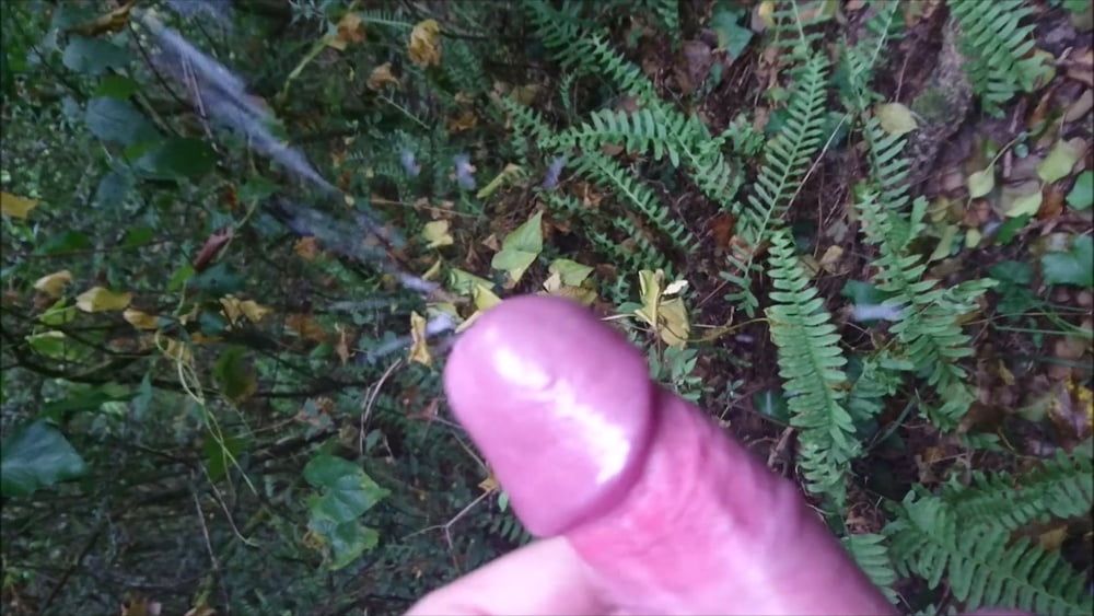 Cumshot Outdoor #12