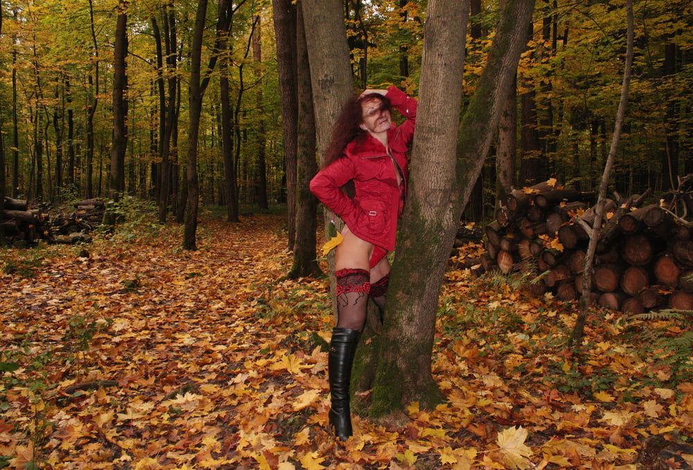 Red Autumn 5 #25