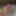 Sexy BBW Christmas BDSM and Anal