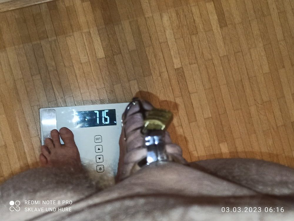mandatory weighing and cagecheck of 03.03..2023