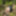 Walking bare-assed through the spring forest #18