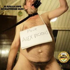 Play with the toilet brush
