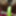 My wife sex with kheera