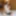Rinka Mizuhara :: A Danfer Temptation From Wife - CARIBBEANC #2