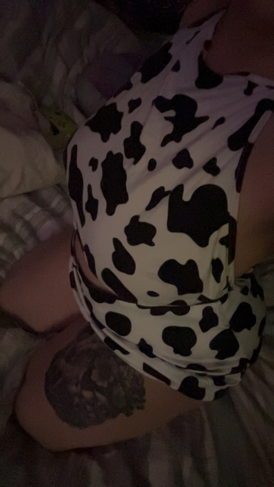 moo moo moo #2