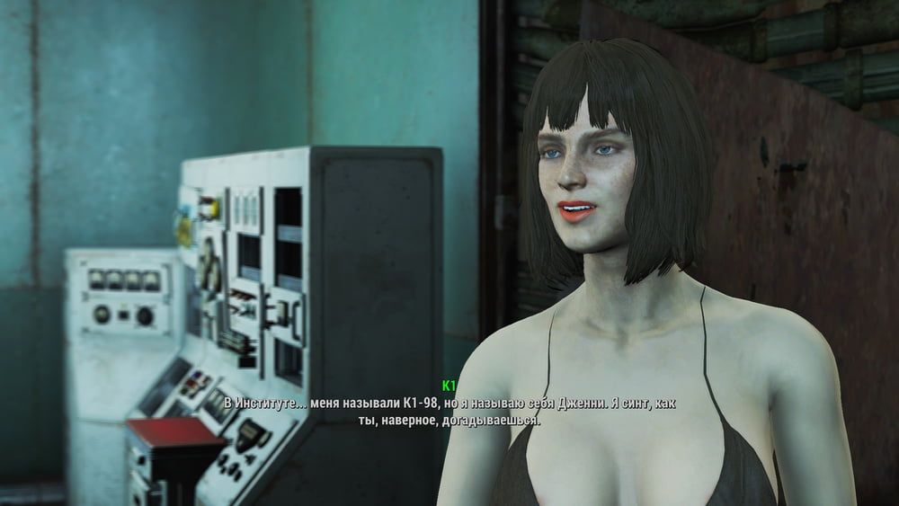 Erotic posters (Fallout 4) #37