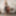 BOBSTGIRLS: Topped By Natalee Skye #2