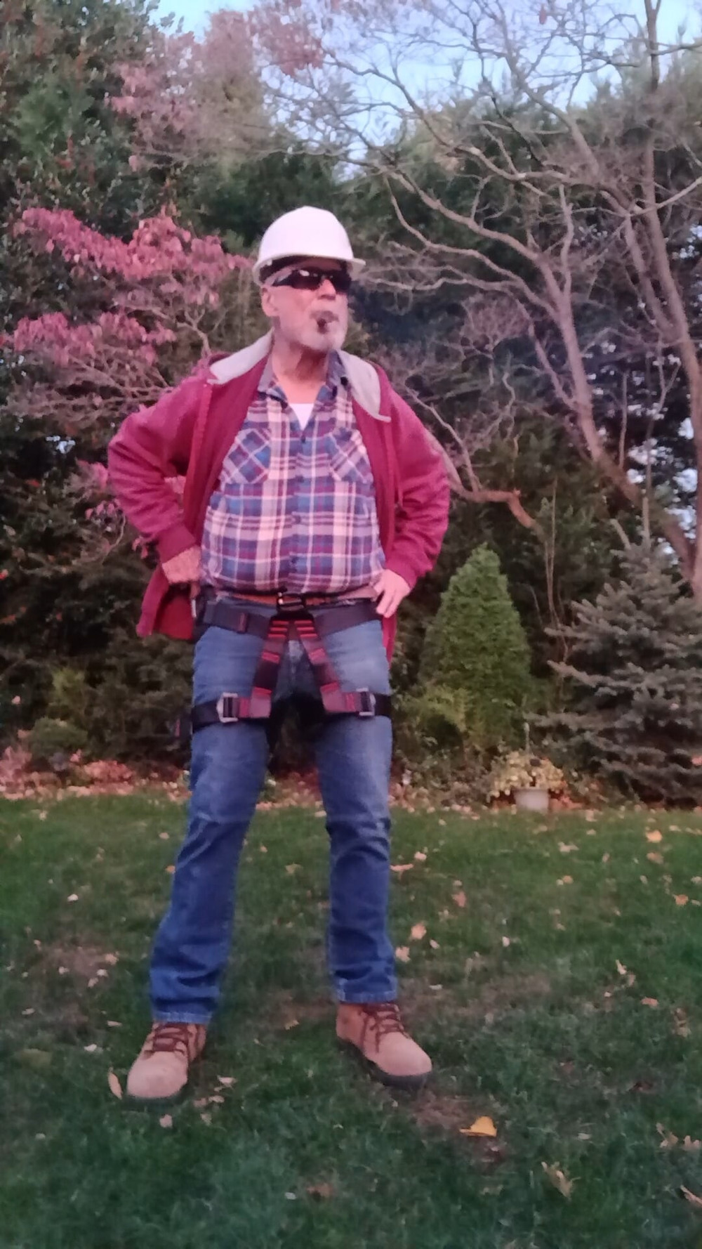 Safety harness for tree pruning  #5