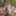 Nackt im Wald 02 #22