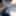 コックの写真