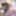 BODYSTOCKING 4