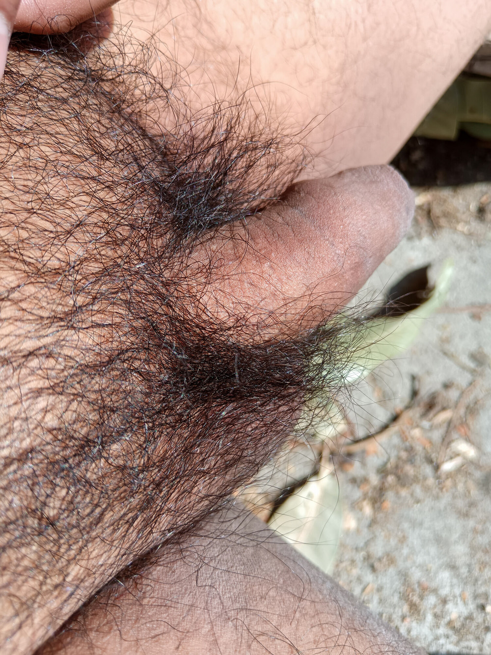 My nice flaccid penis after 9 months without shaving #12