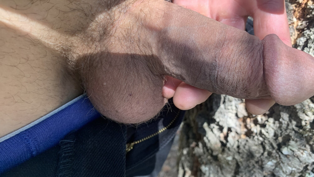 Cock Pics #21