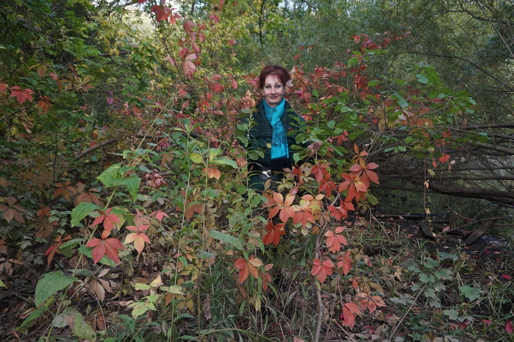 Autumn plot #22