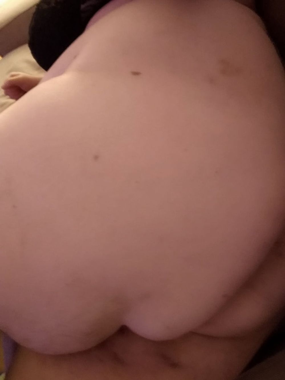 Fat Sissy Pig Dani 2019 #19