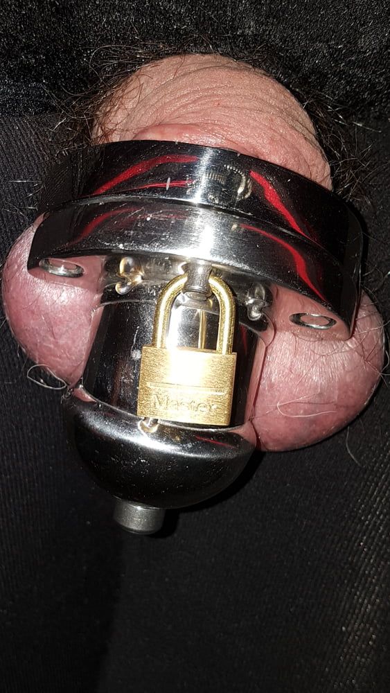 Chastity cage #6