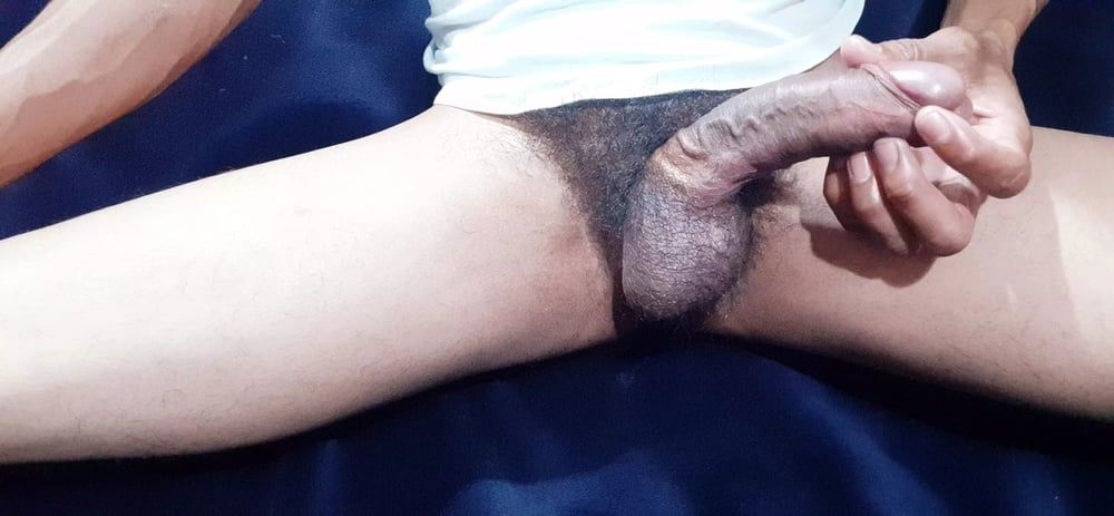 Cock  #52