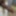 Black dick, Need female co partner 