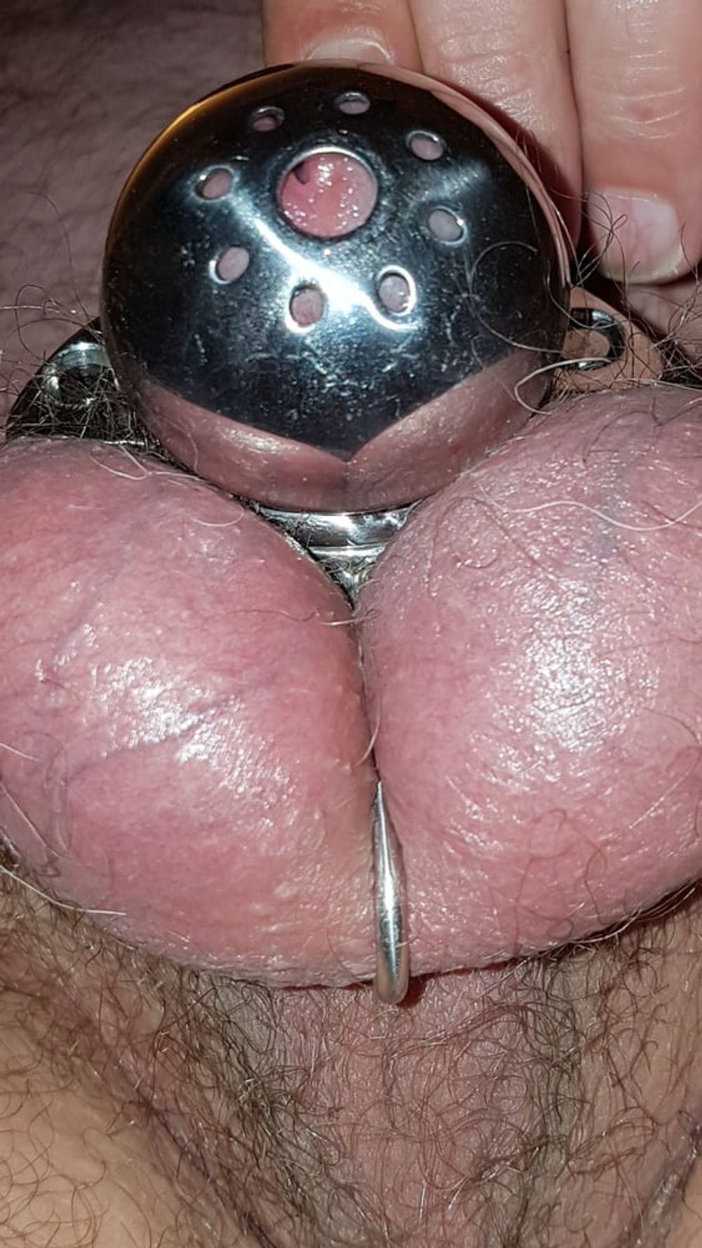 Chastity cage #32