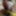CBTLUVR’s Upside Down purple COCK &amp; BALLS BONDAGE CBT #8