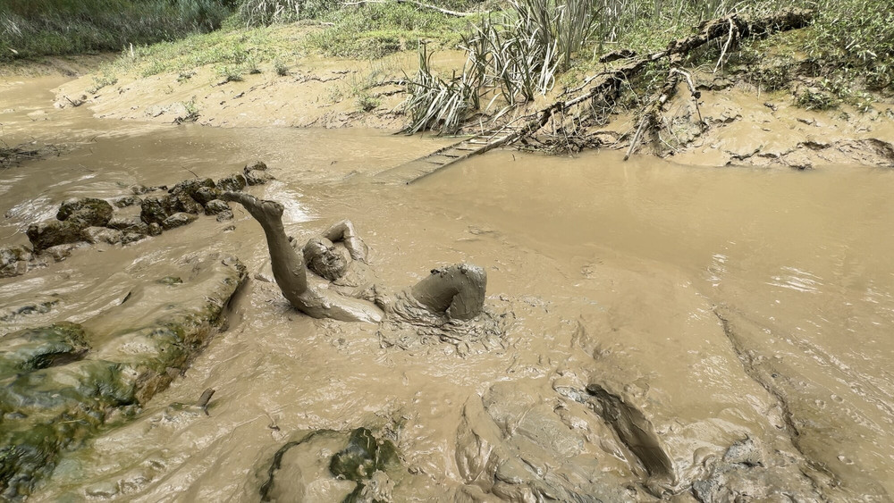 SHOT - BURIED IN MUD ! #7
