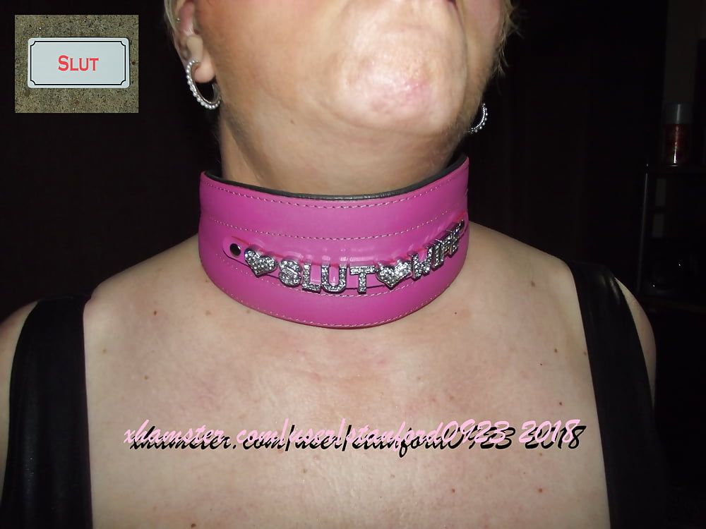 SLUT COLLAR #48