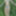 On the river bank, on the grass, in a public place without p #19