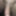 my dick