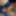 My cock (July-August 2025) #18
