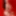 Ücretsiz ariana Fotoğrafları