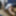 Sissy Ashley Jolene Ass Fucked with a Medium Black Dildo #52