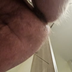 新しいおもちゃを試してみます。