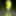 EK LIME #2