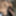 Huge 23cm dick of a very hard hairy male in the gym bathroom #2