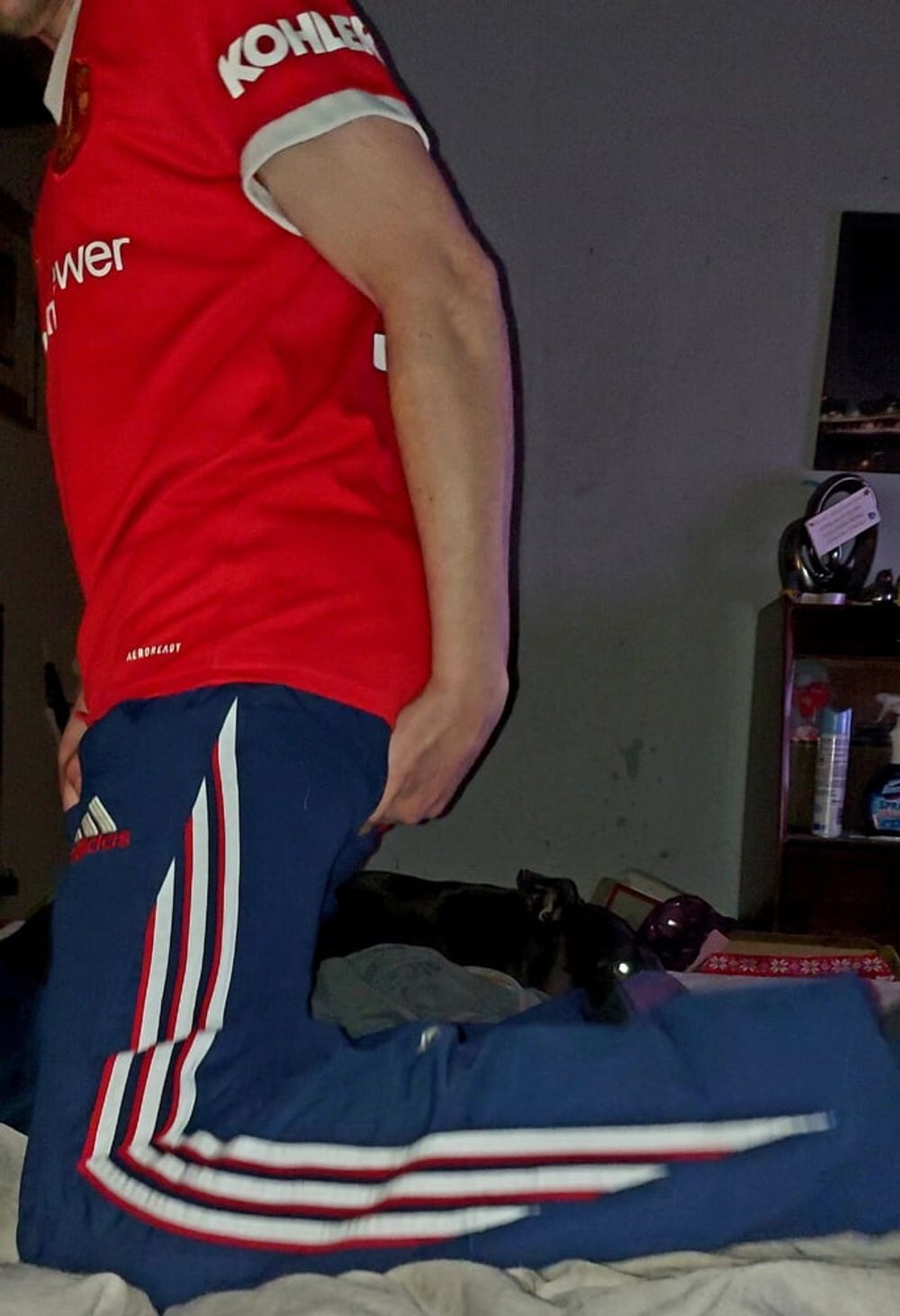 ADIDAS TRACKIE #2