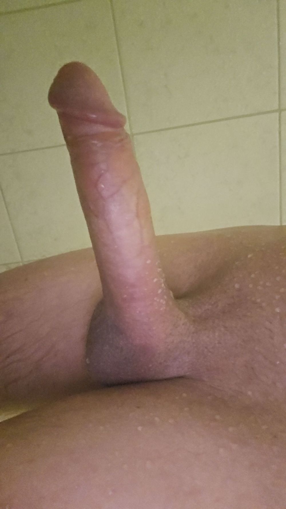 My Dick