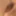 micro penis or big clit?
