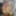 News ensemble vert et baiser directement 