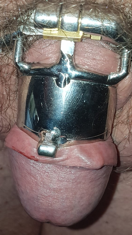 Chastity cage #27