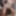Timelapse photo from video Sissy Slut blogs and makes educat #46