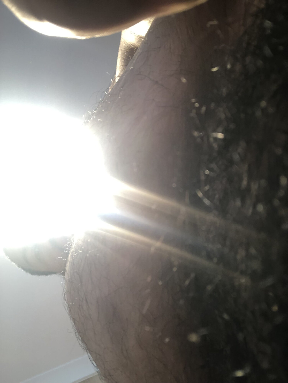Hairy #3