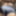 Bbw