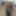 BDボーイセクシーなチンコショー