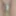 July 26, 2024 Daily duty of the naked slave #3