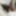 Neues vom See 16.08.2020