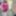 Amateur crossdresser Kelly cd in pink fishnet dress  #45