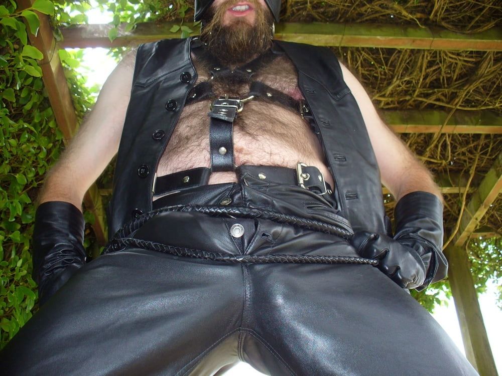 Leather Master outdoors in harness with whip #28