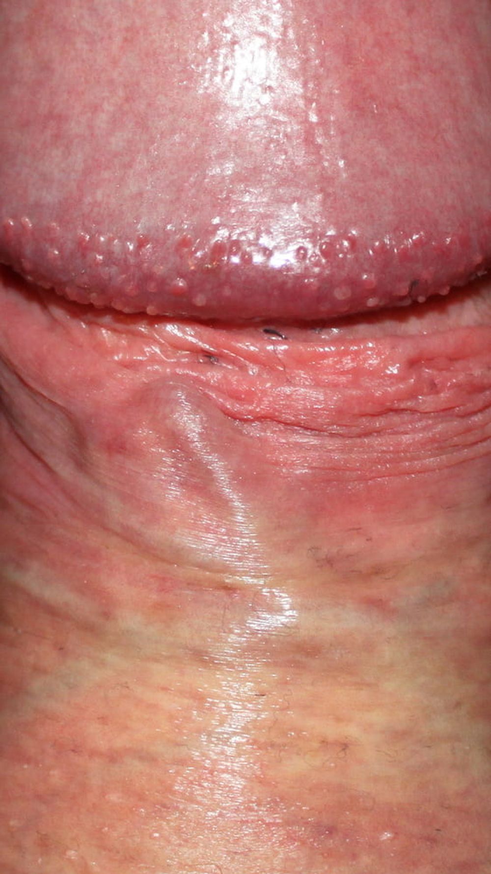 Close up dick #34